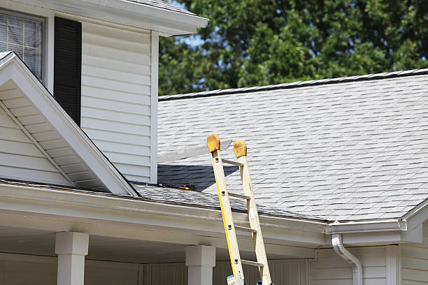 Siding Installation & Repair